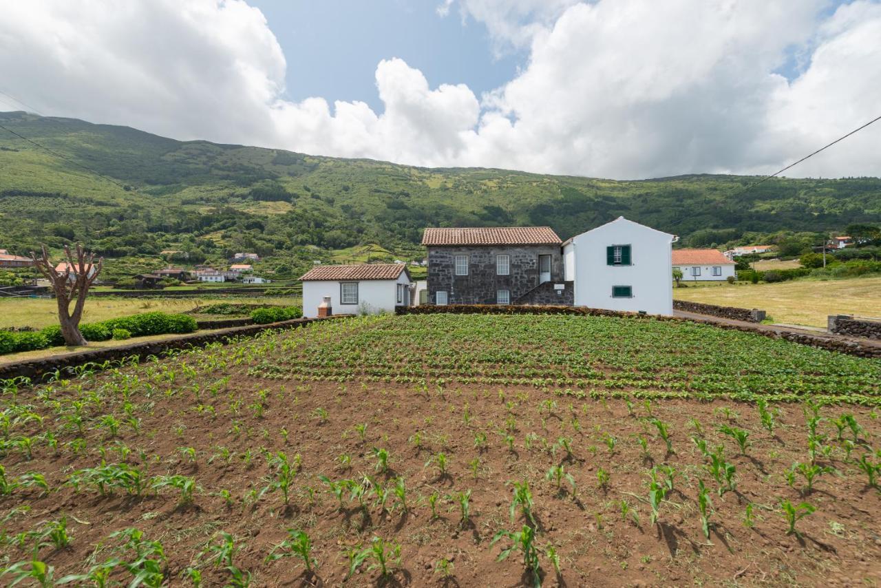 Prainha Apartments São Roque do Pico Exteriör bild