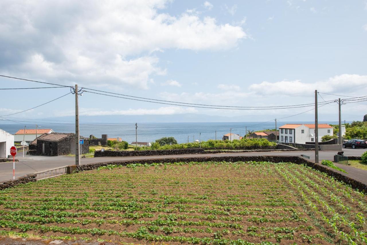 Prainha Apartments São Roque do Pico Exteriör bild
