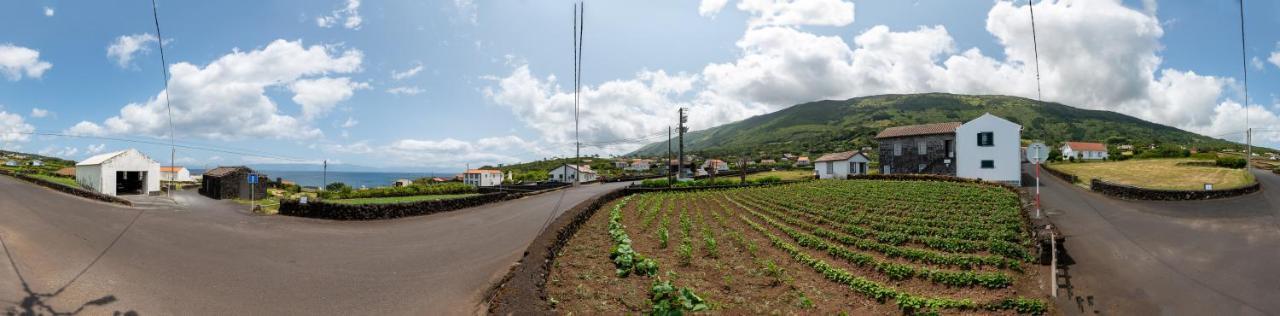 Prainha Apartments São Roque do Pico Exteriör bild